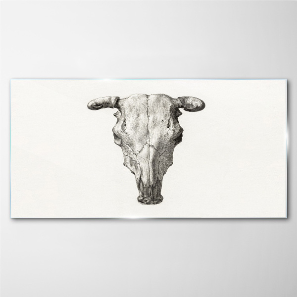 Skull on a white background Wall art on glass