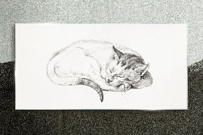 Sleeping cat Wall art on glass
