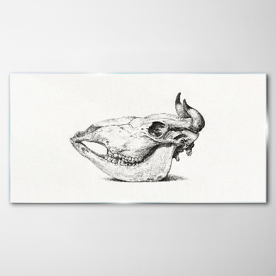 Animal skull Glass art print