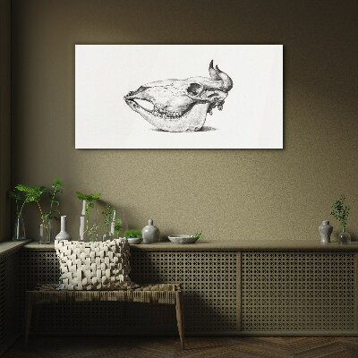 Animal skull Glass art print
