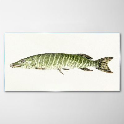 Muskie in its natural habitat Glass art print