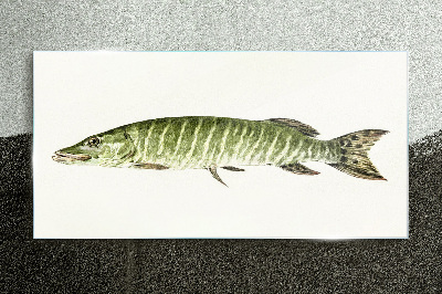 Muskie in its natural habitat Glass art print