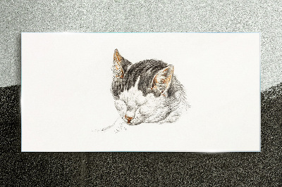 Drawing animal cat Glass Print