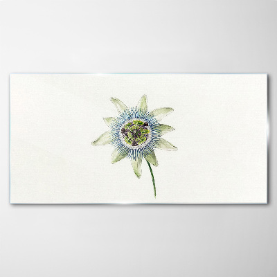 Passion flower on white background Glass art print