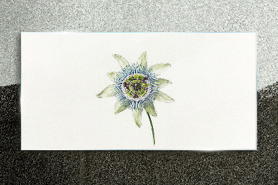 Passion flower on white background Glass art print
