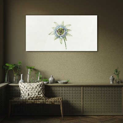 Passion flower on white background Glass art print