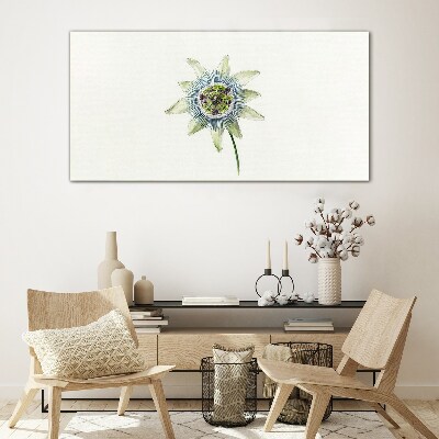 Passion flower on white background Glass art print