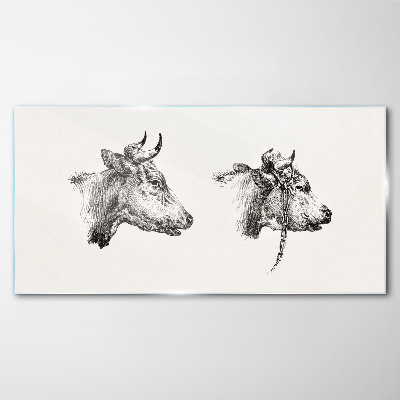Portrait of two cows Wall art on glass