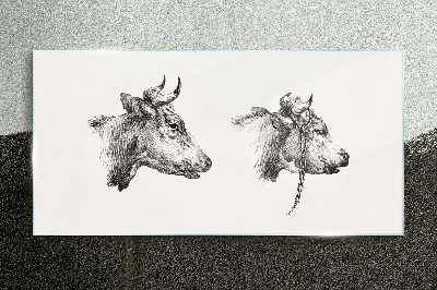 Portrait of two cows Wall art on glass