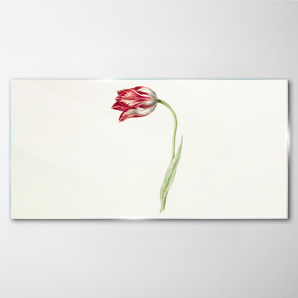 Tulip in delicate shades Glass art print