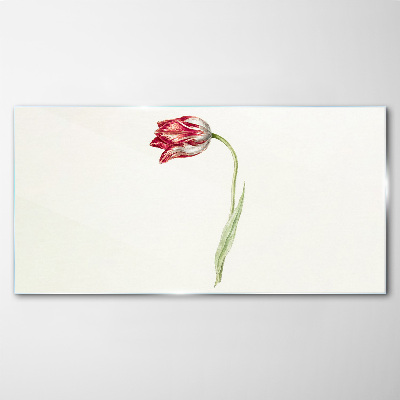 Tulip in delicate shades Glass art print