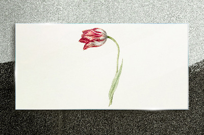 Tulip in delicate shades Glass art print