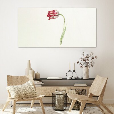 Tulip in delicate shades Glass art print