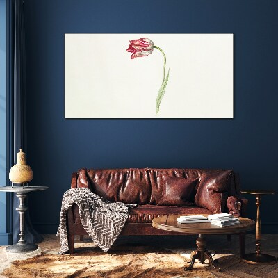 Tulip in delicate shades Glass art print