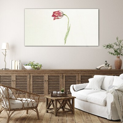 Tulip in delicate shades Glass art print