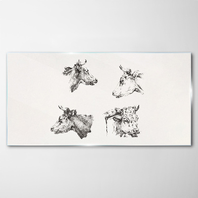 Black and white portrait of cattle Wall art on glass