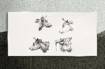 Black and white portrait of cattle Wall art on glass