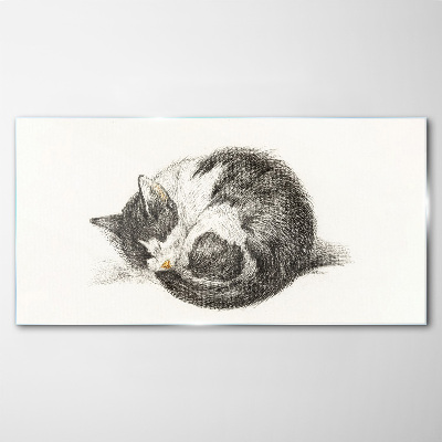 Cat's dream in monochromatic shades Glass art print
