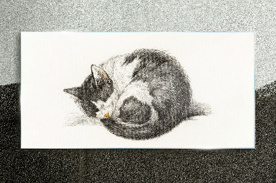Cat's dream in monochromatic shades Glass art print