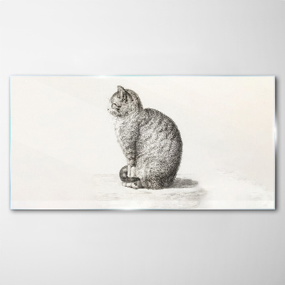 Drawing animal cat Glass Print