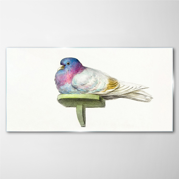 Colorful dove in pastel shades Glass art print