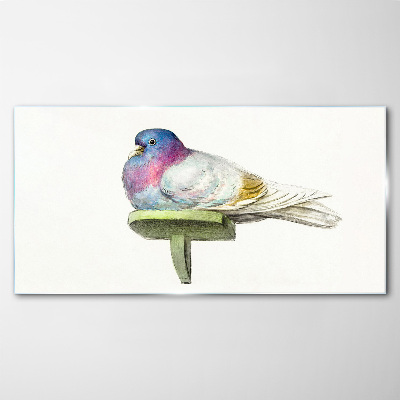Colorful dove in pastel shades Glass art print