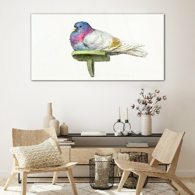 Animal bird dove Glass Print