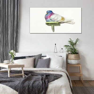 Animal bird dove Glass Print