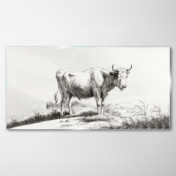 Black cow in the pasture Wall art on glass