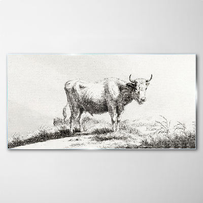 Black cow in the pasture Wall art on glass