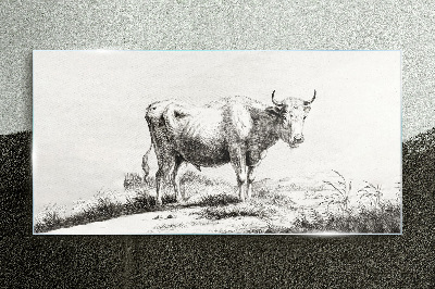 Black cow in the pasture Wall art on glass