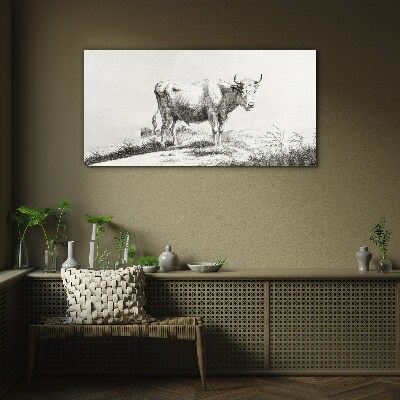 Black cow in the pasture Wall art on glass