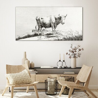 Black cow in the pasture Wall art on glass