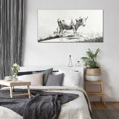 Black cow in the pasture Wall art on glass