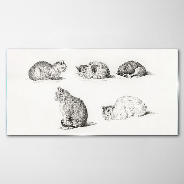 Different postures of cats Wall art on glass