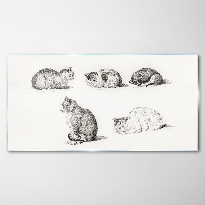 Different postures of cats Wall art on glass