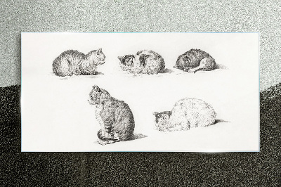 Different postures of cats Wall art on glass
