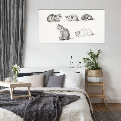 Drawing animals cats Glass Print