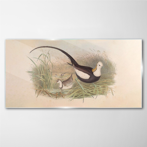 Birds in the grass Glass art print