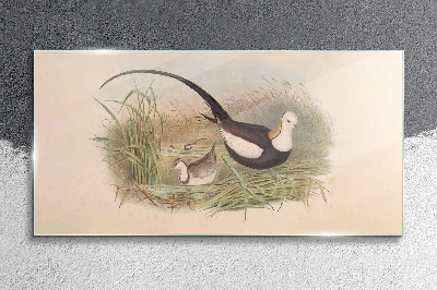 Birds in the grass Glass art print