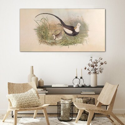 Birds animals figure Glass Wall Art