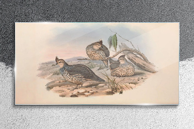Peaceful bird life on the beach Glass art print
