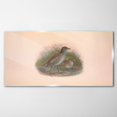 Birds in the grass Glass art print