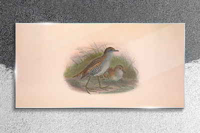 Birds in the grass Glass art print