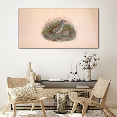 Birds in the grass Glass art print