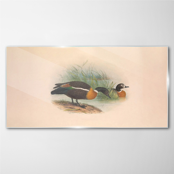 Two ducks in the grass Glass art print