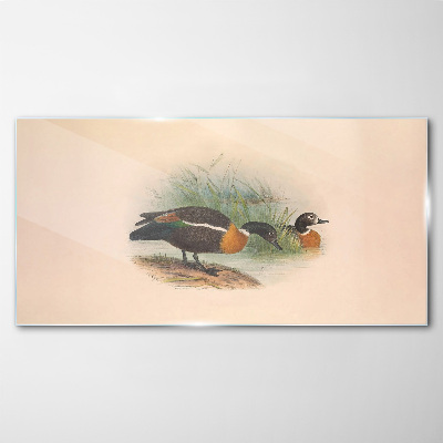 Two ducks in the grass Glass art print