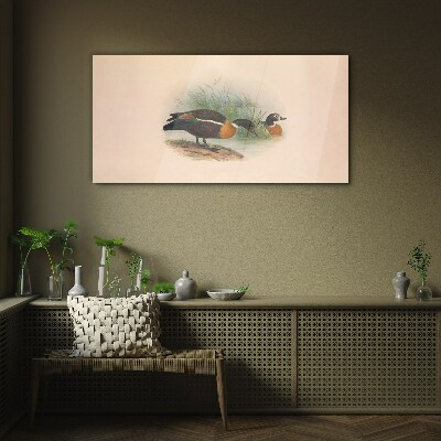 Animals birds beige Glass Wall Art