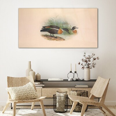 Animals birds beige Glass Wall Art