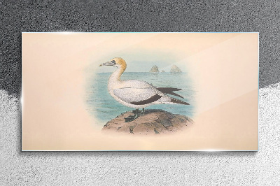 Sea bird in the water Wall art on glass